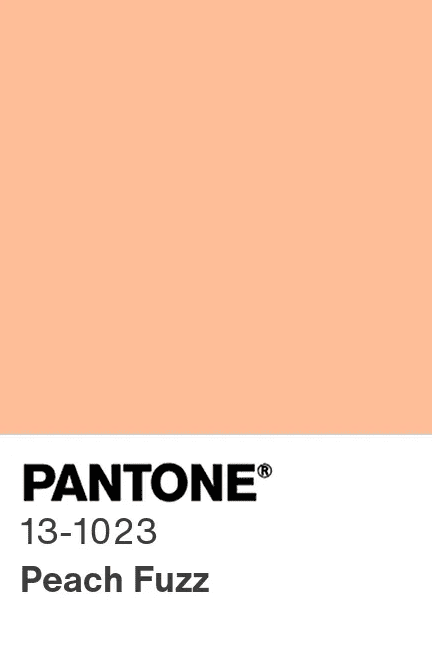 cor pantone 2024